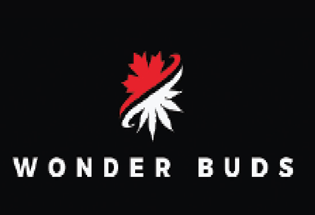 Wonder Buds