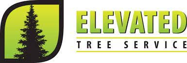 Elevated Tree Service