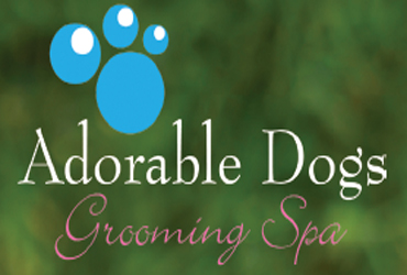 Adorable Dogs Grooming Spa