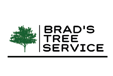 Brad's Tree Service