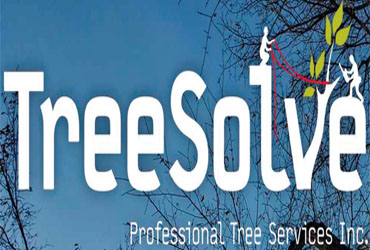 Treesolve